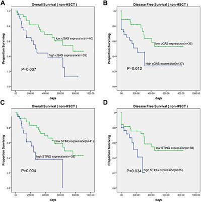 Prognostic implications of cGAS and STING gene expression in acute myeloid leukemia